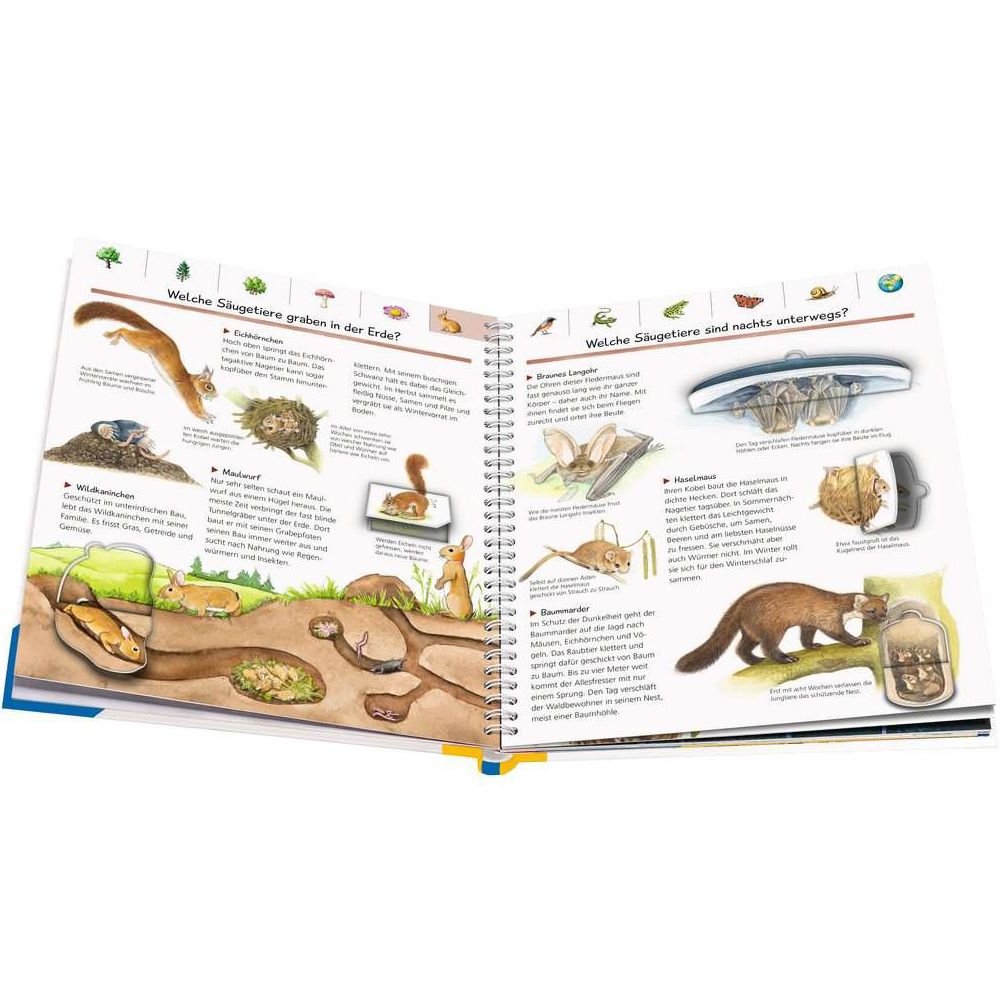 Ravensburger Pourquoi ? Pour quelle raison? Pourquoi ? : Mon grand lexique de la nature