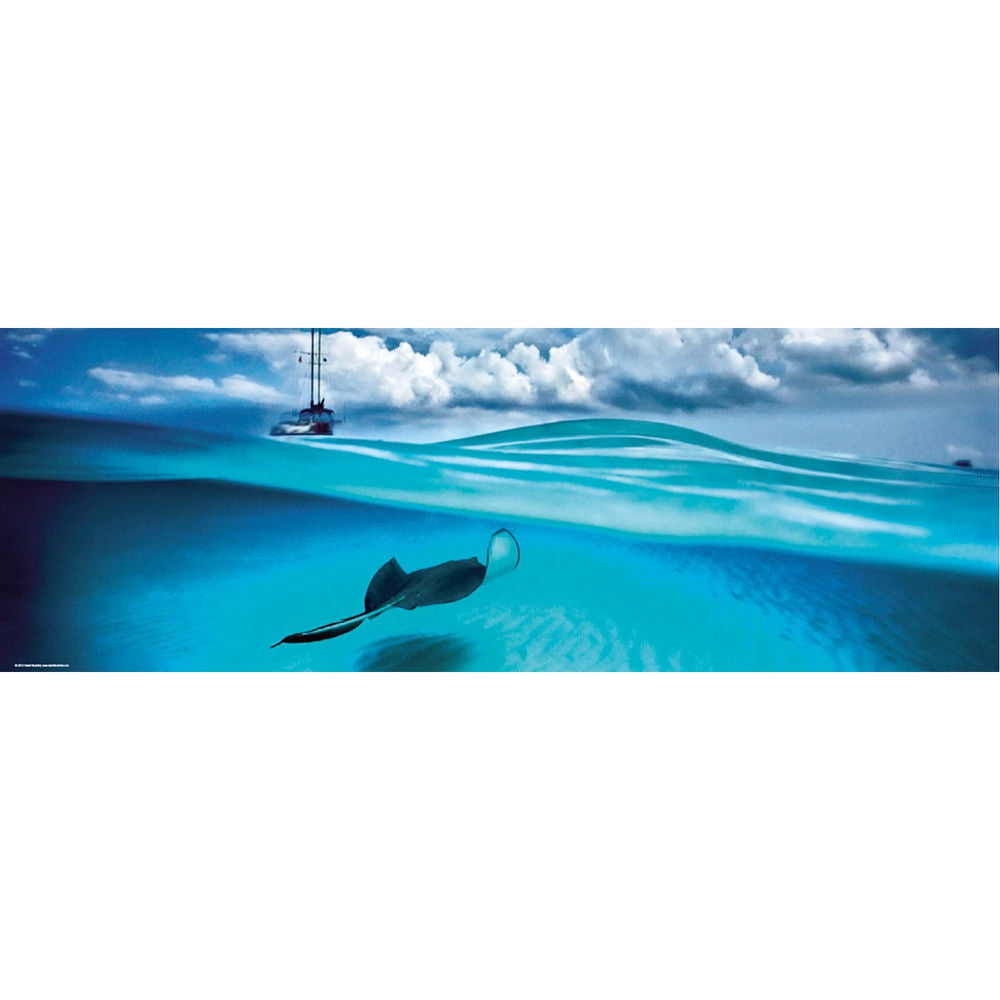 Puzzle Stingray - Panorama Puzzle, 1000 Teile