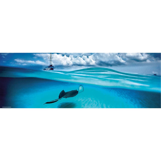 Puzzle Stingray - Panorama Puzzle, 1000 Teile