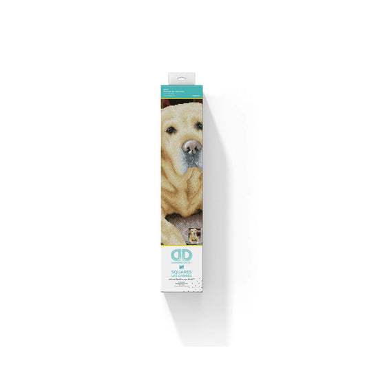 Diamond Painting Labrador