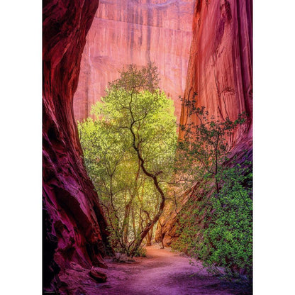 Heye Puzzle Singing Canyon Standard 1000 pieces