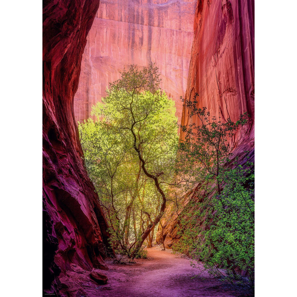 Heye Puzzle Singing Canyon Standard 1000 pieces