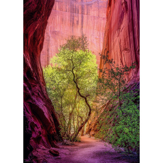 Heye Puzzle Singing Canyon Standard 1000 pieces