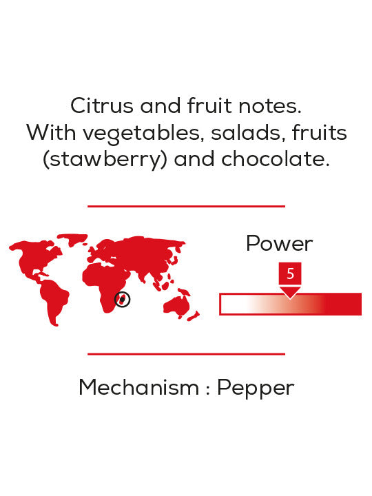 Peugeot Pfeffer Voatsiperifery, 55 g
