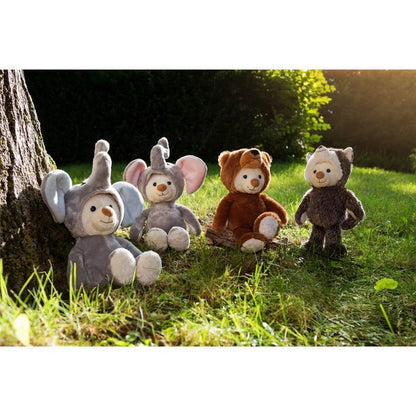 Schaffer Teddy Fant rose 27cm