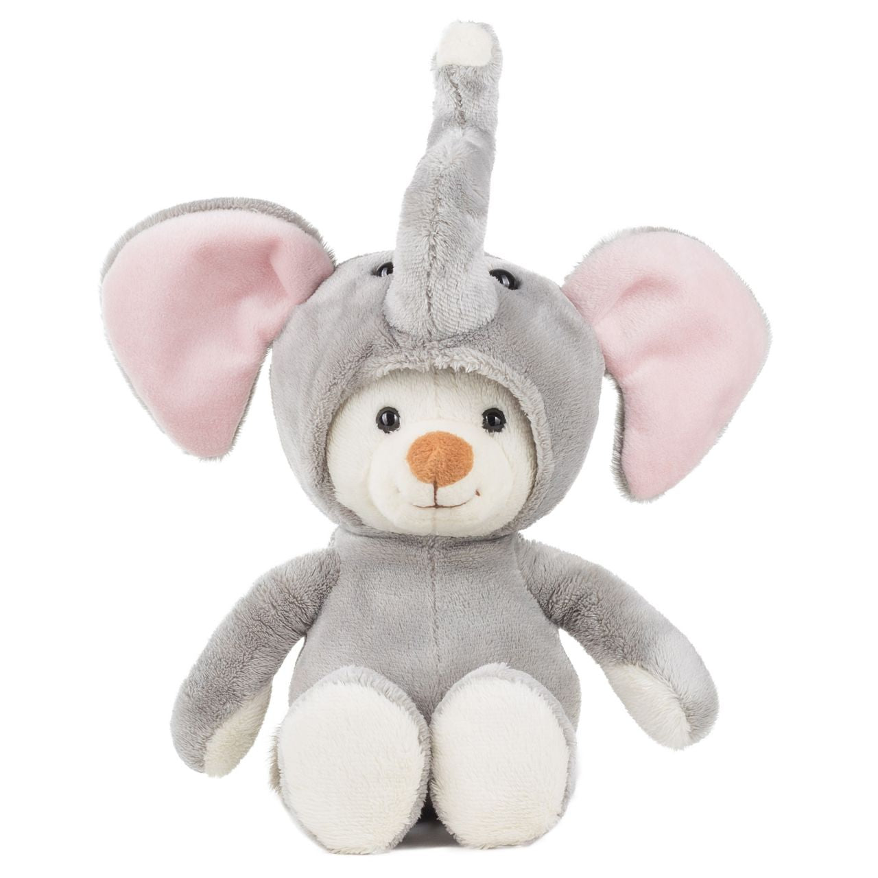 Schaffer Teddy Fant rose 27cm