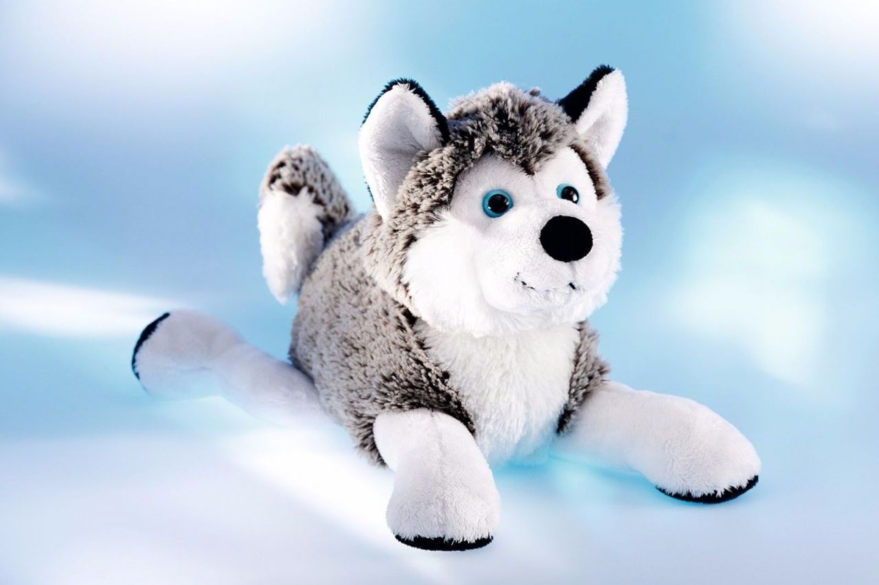 Schaffer-Plüschtier Polarhund Husky, 43 cm
