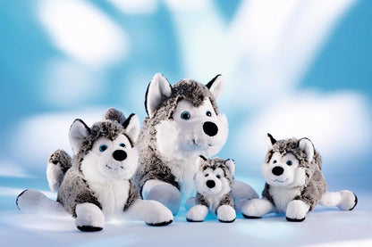 Schaffer peluche chien polaire husky, 30 cm