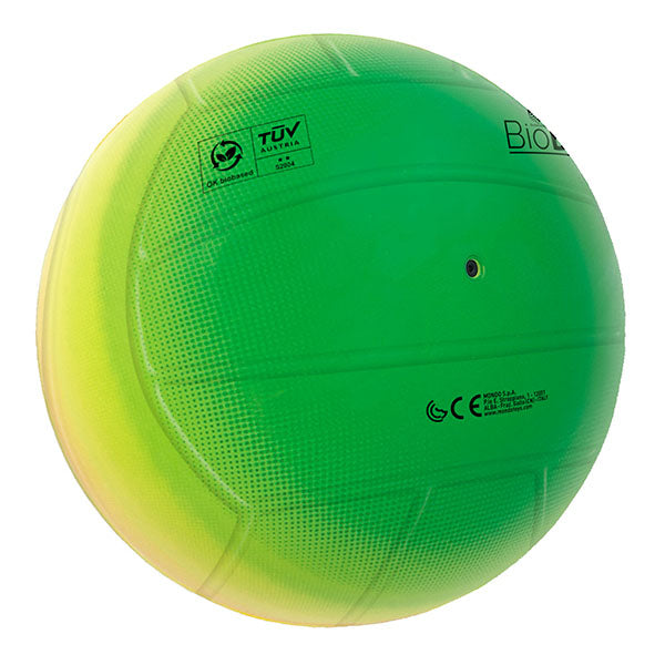 Ballon arc-en-ciel Mondo Volley