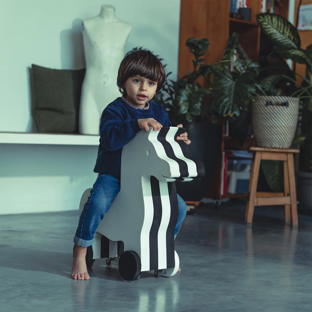 * MOES Wildlife Collection - Zebra, Black &amp; White