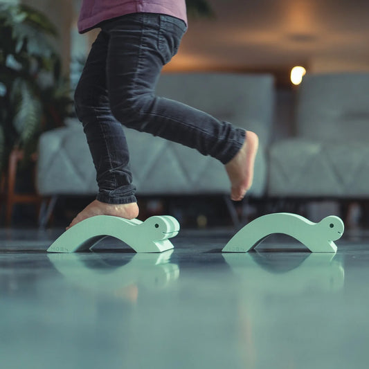 * MOES Sea Life - Bébés Tortues, Tortue Verte, 2 parties