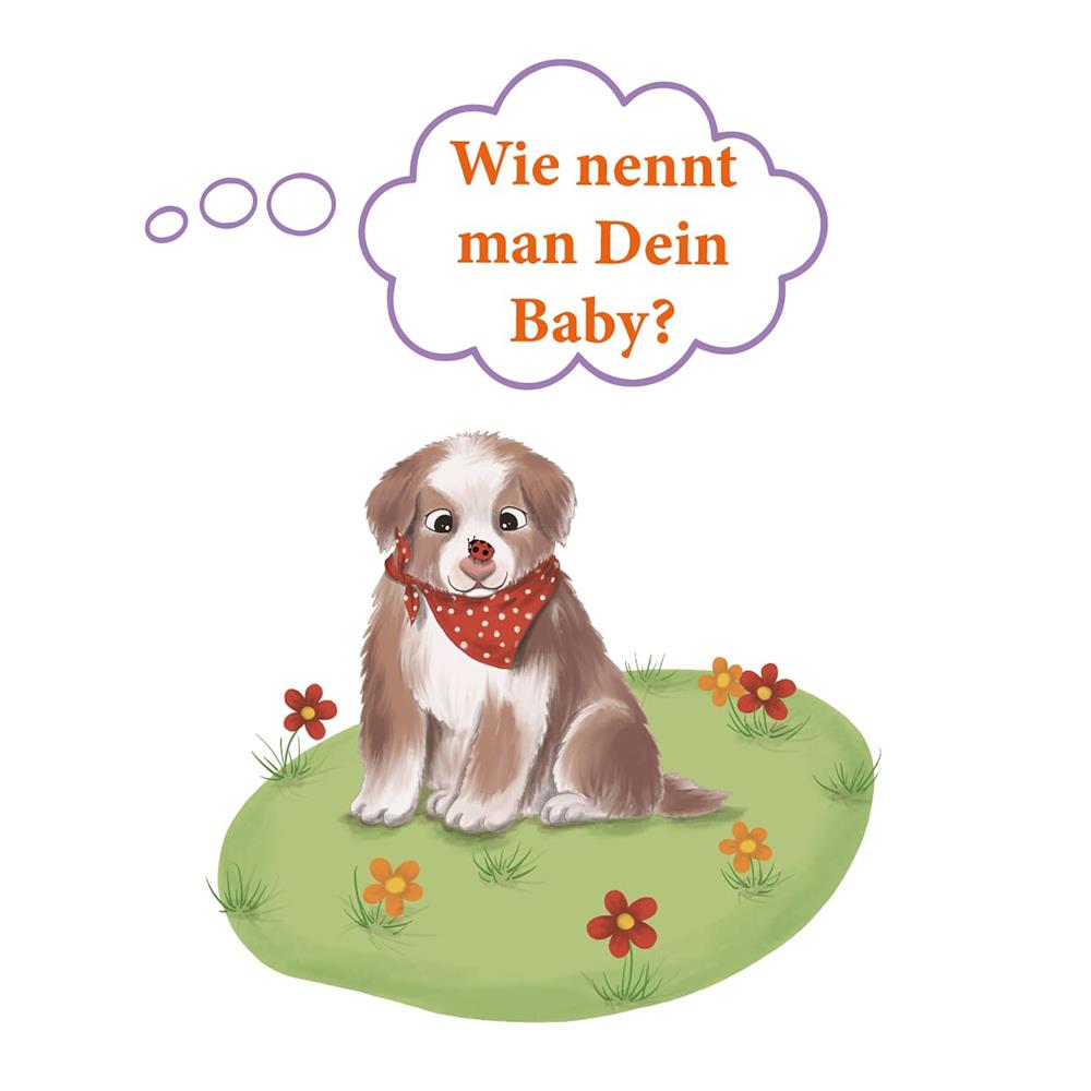 Alleovs WiBuKi – livre de connaissances pour enfants – les animaux de la ferme