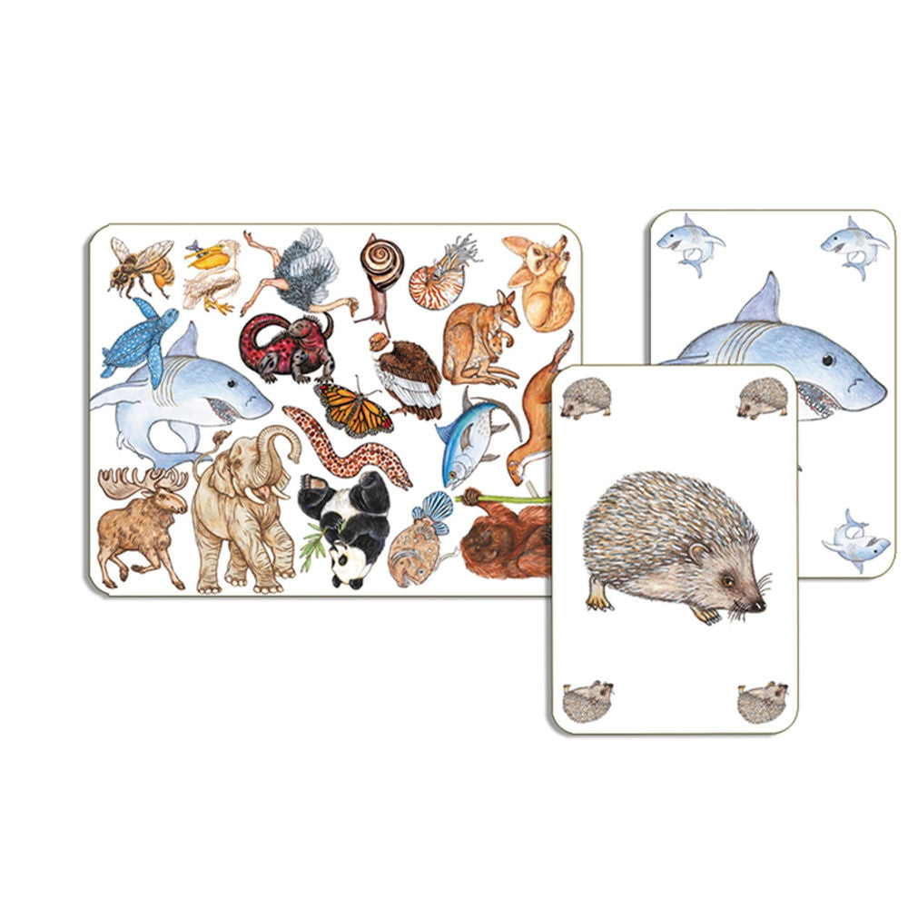 Djeco jeu de cartes Zanimatch