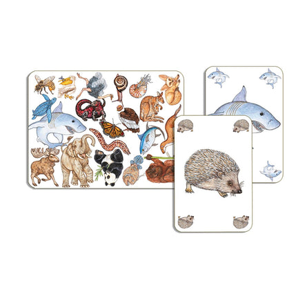 Djeco jeu de cartes Zanimatch