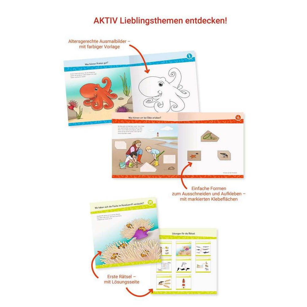 Ravensburger Pourquoi ? Pour quelle raison? Pourquoi? junior ACTIF : En bord de mer