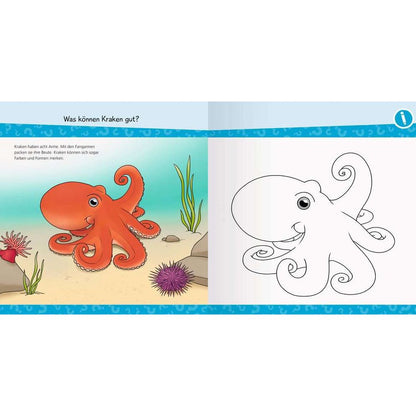 Ravensburger Pourquoi ? Pour quelle raison? Pourquoi? junior ACTIF : En bord de mer