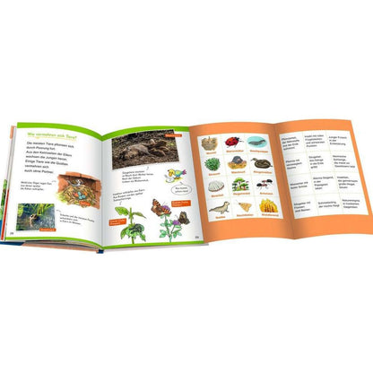 Ravensburger Wieso? Weshalb? Warum? Erstleser, Band 10:  In der Natur