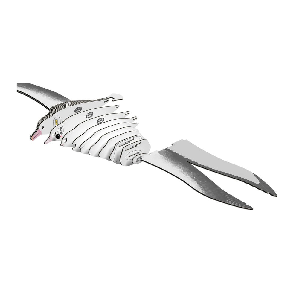 3D Bastelset Royal Albatross