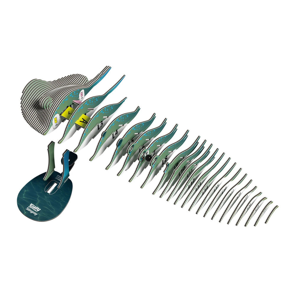 3D Bastelset Stachelrochen
