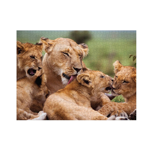 Ambassador Löwen 1000 Teile