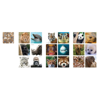 Ambassador Memo Tierselfies