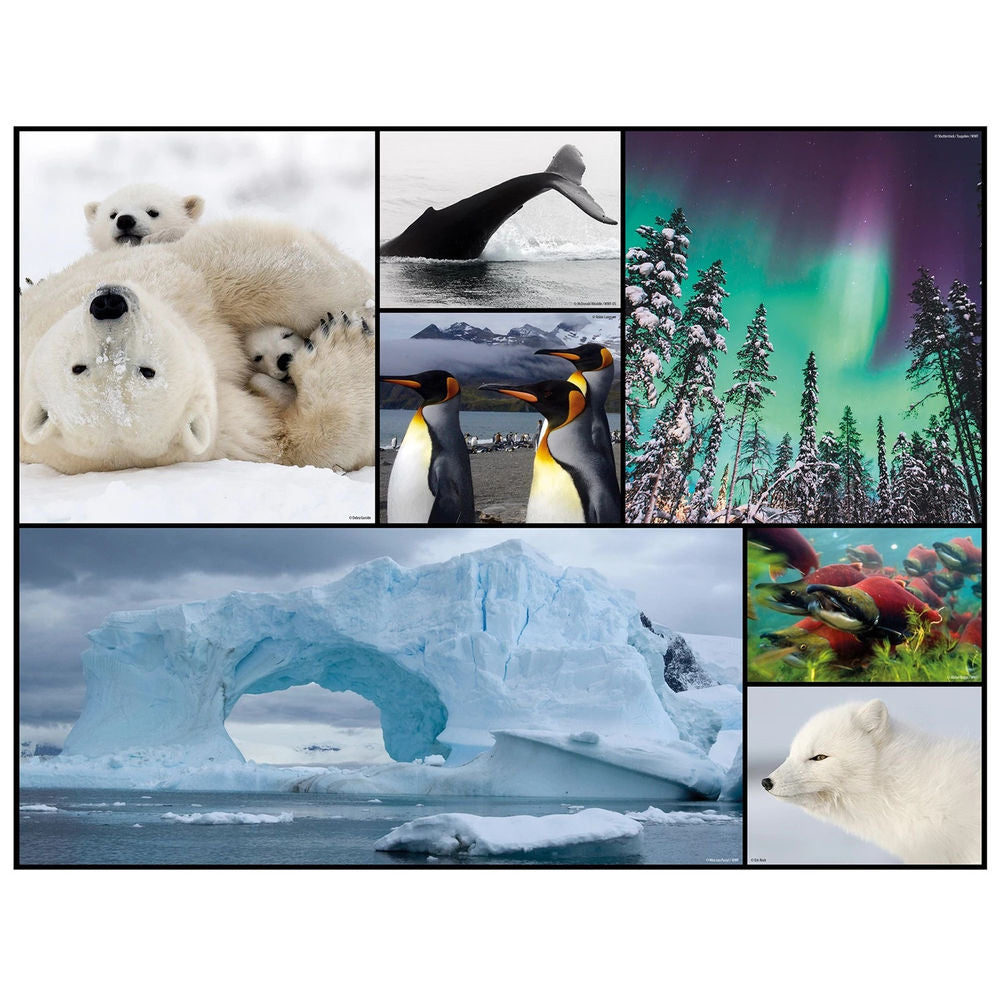 Ambassador Bodenpuzzle Polar 48 Teile