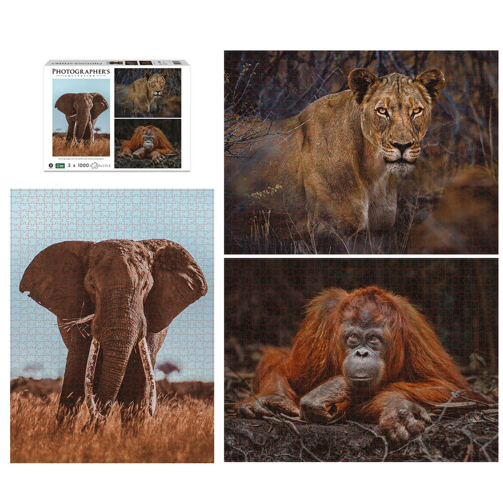 Ambassador Wildtiere Blickkontakt 3x1000 Teile (Donal Boyd)