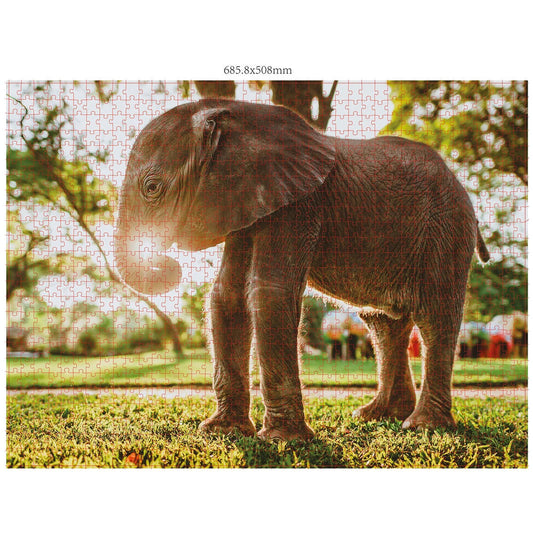 Ambassadeur Animaux Sauvages Afrique 3x1000 pièces (Donal Boyd)