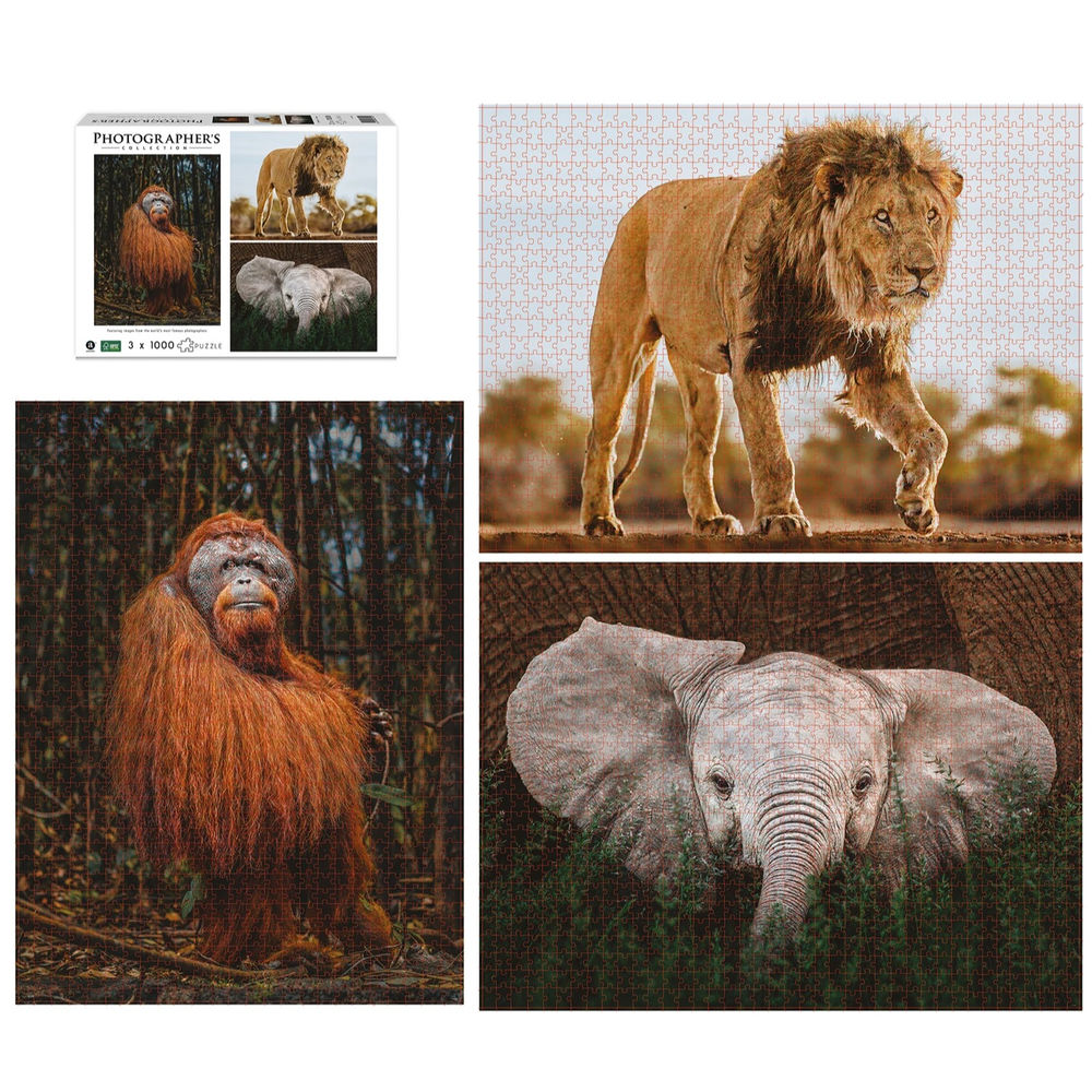 Ambassador Wildtiere 3x1000 Teile (Donal Boyd)