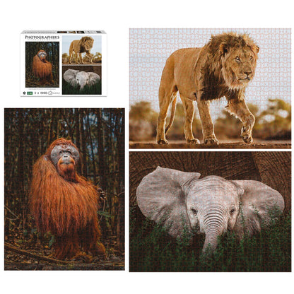 Ambassador Wildtiere 3x1000 Teile (Donal Boyd)