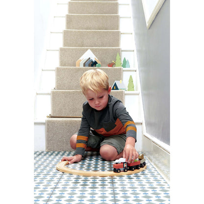 Tenderleaftoys Railway with Accessories