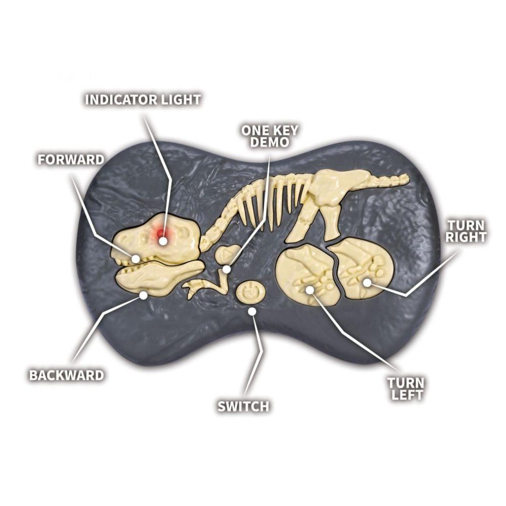 Totally Tech RC Dino Vélociraptor, 2,4 GHz