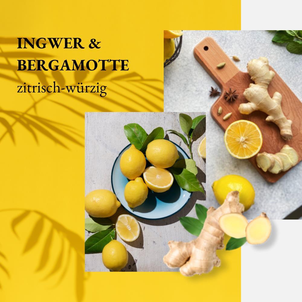 we:care2 Nachfüllbeutel Handseife, Ingwer-Bergamotte, 500 ml