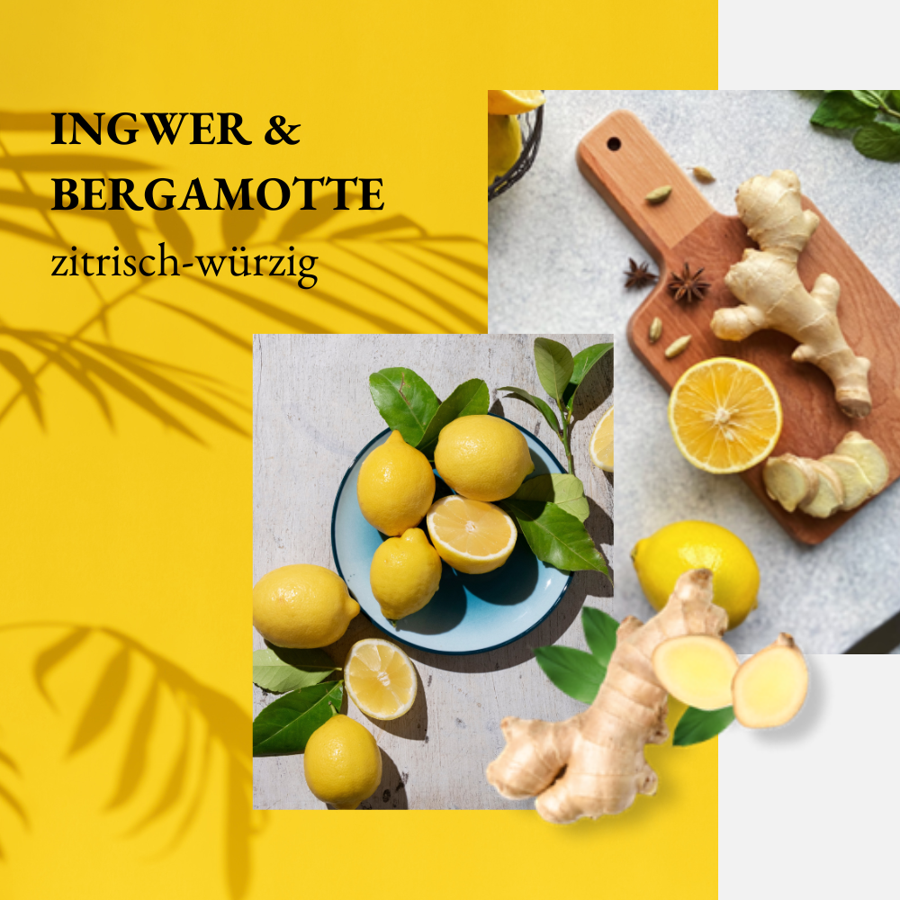 we:care2 Nachfüllbeutel Handseife, Ingwer-Bergamotte, 500 ml