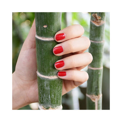 Révolution du vernis à ongles Boho