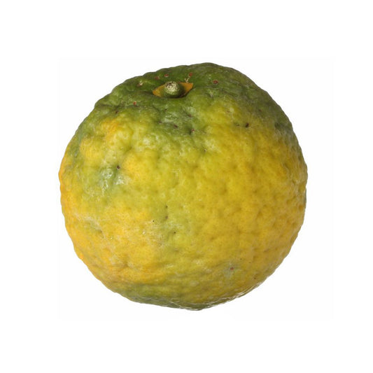 Florascent Aroma Spray Bergamotte, 15 ml