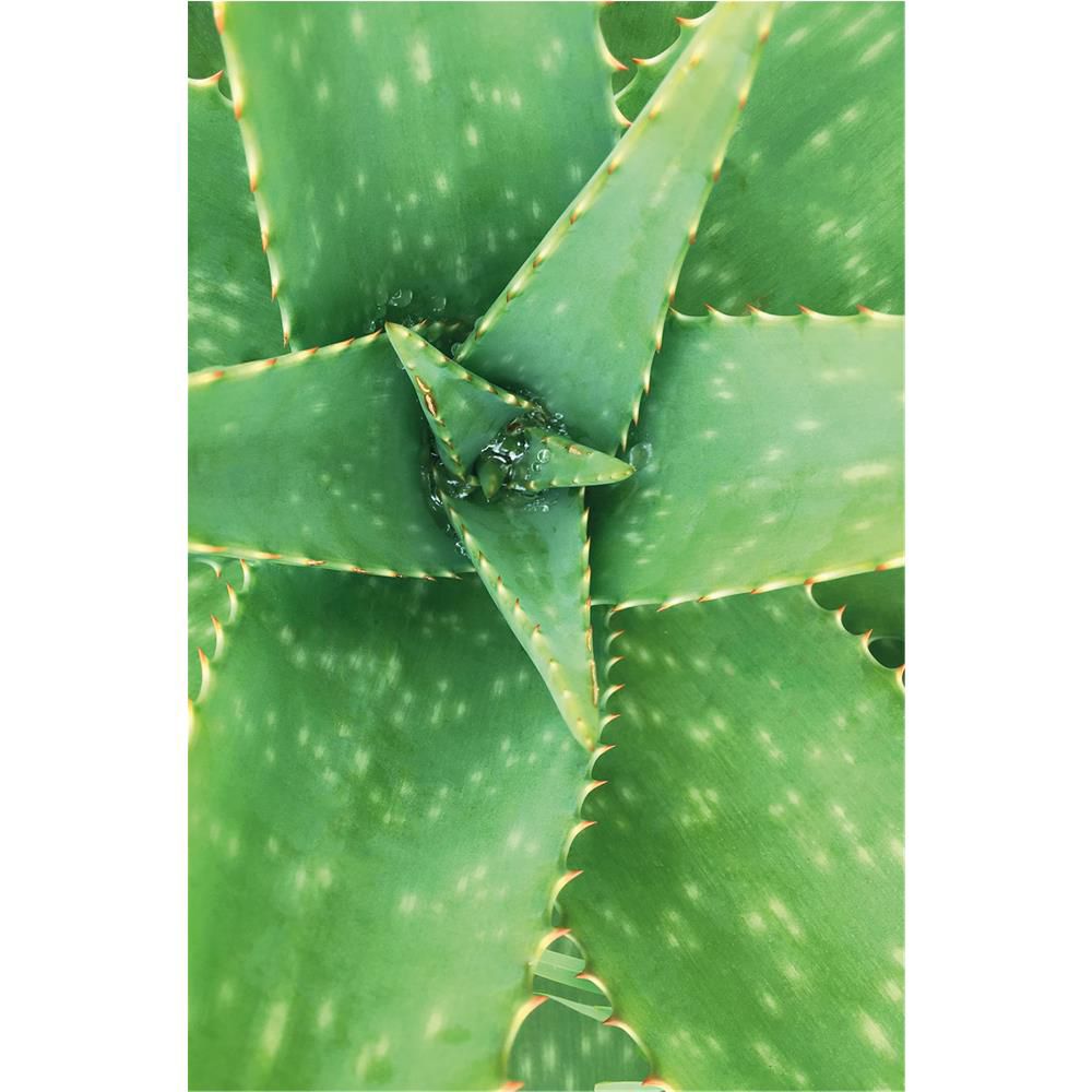 Khadi Wonder Tonique capillaire, 100 ml