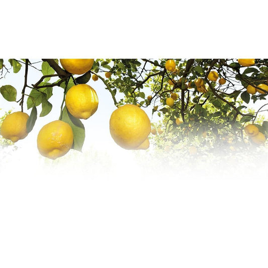 Weleda Citrus Erfrischungsbad, 200 ml